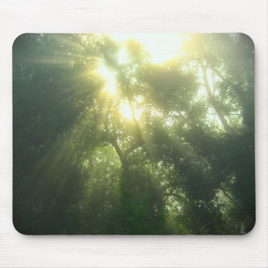 Diep groen bos - Mousepad Muismat (Voorkant)