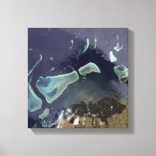 Diep groen bos op het land canvas afdruk (Voorkant)