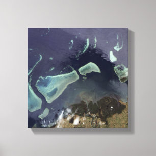 Diep groen bos op het land canvas afdruk