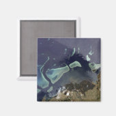 Diep groen bos op het land magneet (Voorkant / Achterkant)