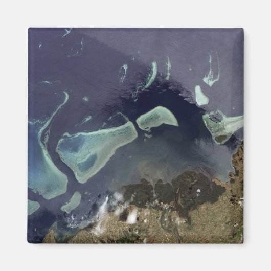 Diep groen bos op het land magneet (Voorkant)