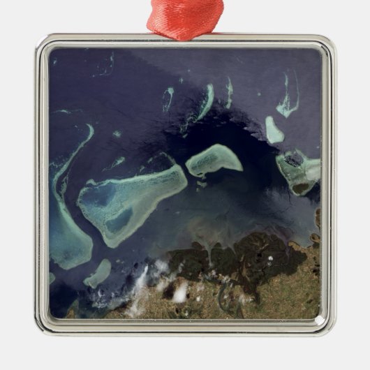 Diep groen bos op het land metalen ornament (Voorkant)