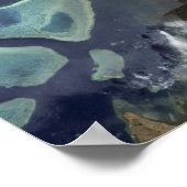 Diep groen bos op het land poster (Hoek)