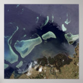 Diep groen bos op het land poster (Voorkant)