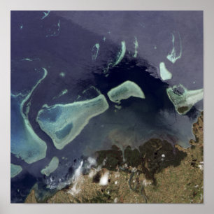 Diep groen bos op het land poster