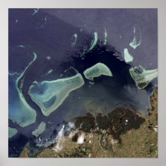 Diep groen bos op het land poster (Voorkant)