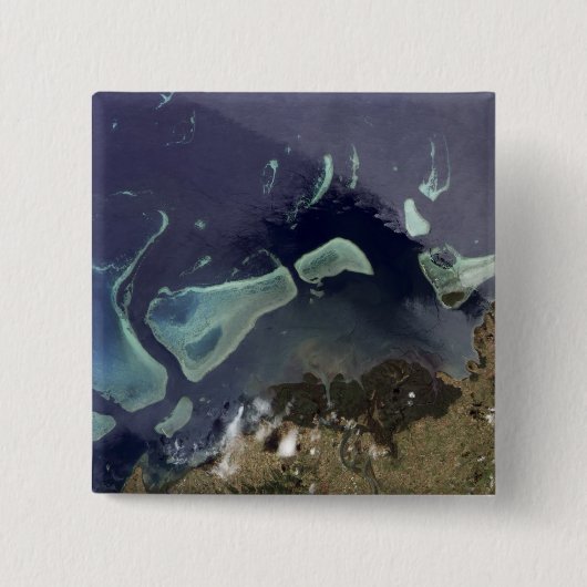 Diep groen bos op het land vierkante button 5,1 cm (Voorkant)