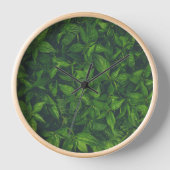 Diep groene bladeren (Voorkant)