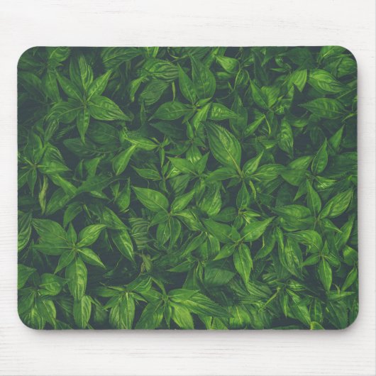 Diep groene bladeren muismat (Voorkant)