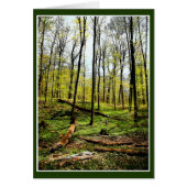 diep in de Bossen (Voorkant)