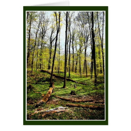 diep in de Bossen (Voorkant)