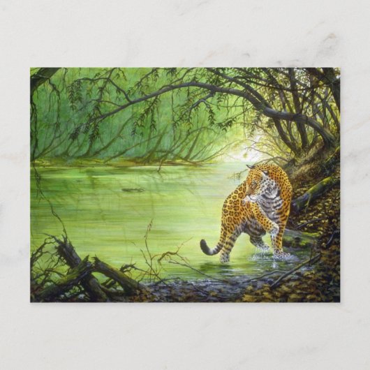 Diep in de bossen, Jaguar Briefkaart (Voorkant)