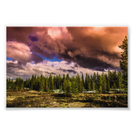 Diep in de noordelijke bossen foto afdruk