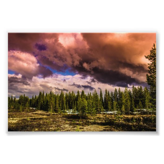 Diep in de noordelijke bossen foto afdruk (Voorkant)