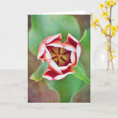 Diep in de Tulp Flower Art Note-Kaart Kaart (Gele Bloem)