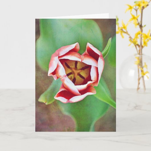 Diep in de Tulp Flower Art Note-Kaart Kaart (Gele Bloem)