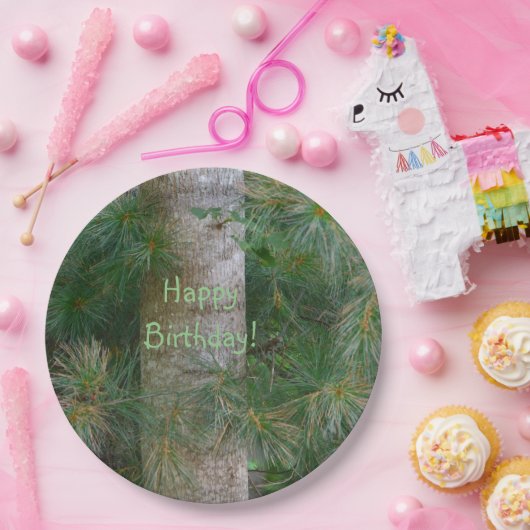 Diep in de zegen papieren bordje (Feest)