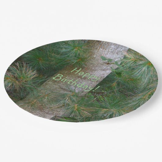 Diep in de zegen papieren bordje (Gekanteld)