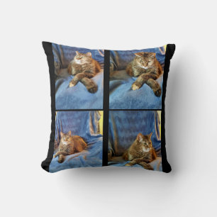 DIEP IN DOUD KAT KUSSEN