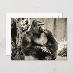 DIEP IN GEDACHTE BRIEFKAART