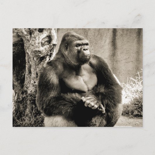 DIEP IN GEDACHTE BRIEFKAART (Voorkant)