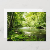 Diep in het bos briefkaart (Voorkant / Achterkant)