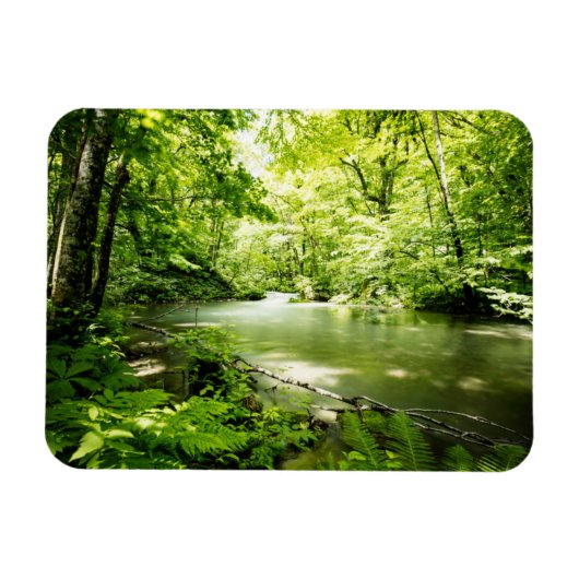 Diep in het bos magneet (Horizontaal)