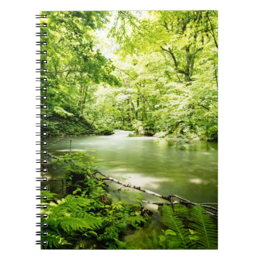 Diep in het bos notitieboek (Voorkant)
