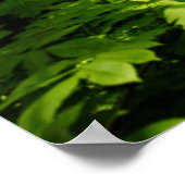 Diep in het bos poster (Hoek)