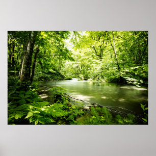 Diep in het bos poster