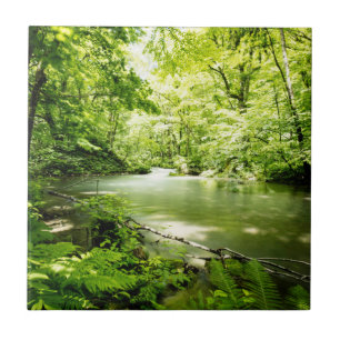 Diep in het bos tegeltje