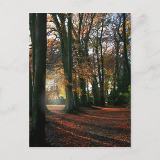 Diep in het hart Briefkaart