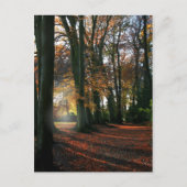 Diep in het hart Briefkaart (Voorkant)