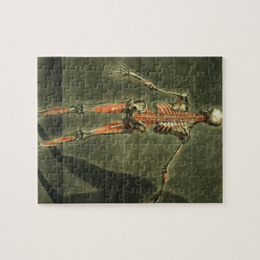 Diep Musculair Systeem aan de achterkant van het l Legpuzzel (Horizontaal)