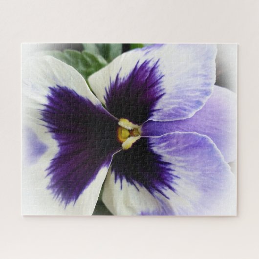 diep paars op witte paniek legpuzzel (Horizontaal)