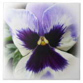 diep paars op witte paniek tegeltje (Voorkant)