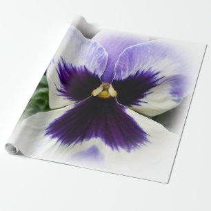 diep paarse op witte viooltje cadeaupapier