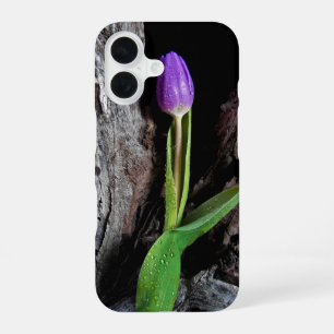 diep paarse tulp op drijfhout iPhone 16 hoesje