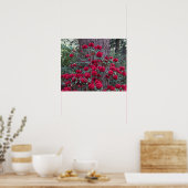 Diep Rode Rododendrons Bloem Fotografie Poster (Keuken)