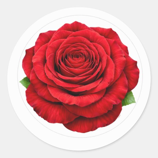 Diep Rode Roos Ronde Enveloppe Sluitzegel Sticker (Voorkant)