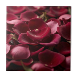 Diep Rode Rozenblaadjes Elegante Bloem Keramiek Te Tegeltje
