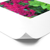 Diep Roze Astilbe Bloesems Bloemstuk Poster (Hoek)