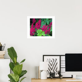 Diep Roze Astilbe Bloesems Bloemstuk Poster