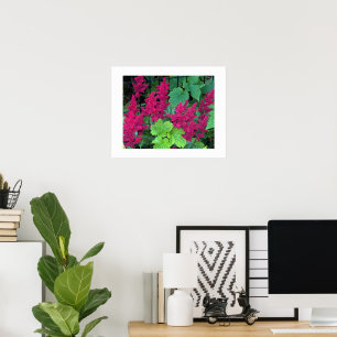 Diep Roze Astilbe Bloesems Bloemstuk Poster