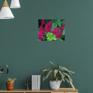Diep Roze Astilbe Bloesems Bloemstuk Poster