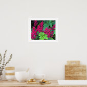 Diep Roze Astilbe Bloesems Bloemstuk Poster (Keuken)