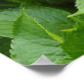 Diep Roze Hortensia Bloemen Poster (Hoek)