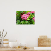 Diep Roze Hortensia Bloemen Poster (Keuken)