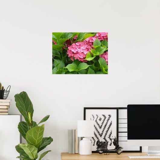 Diep Roze Hortensia Bloemen Poster (Thuiskantoor)