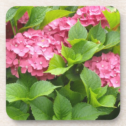 Diep Roze Hortensia's Drankjes Onderzetter (Voorkant)